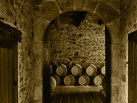 Barrels inside Pittacum Winery in Bierzo